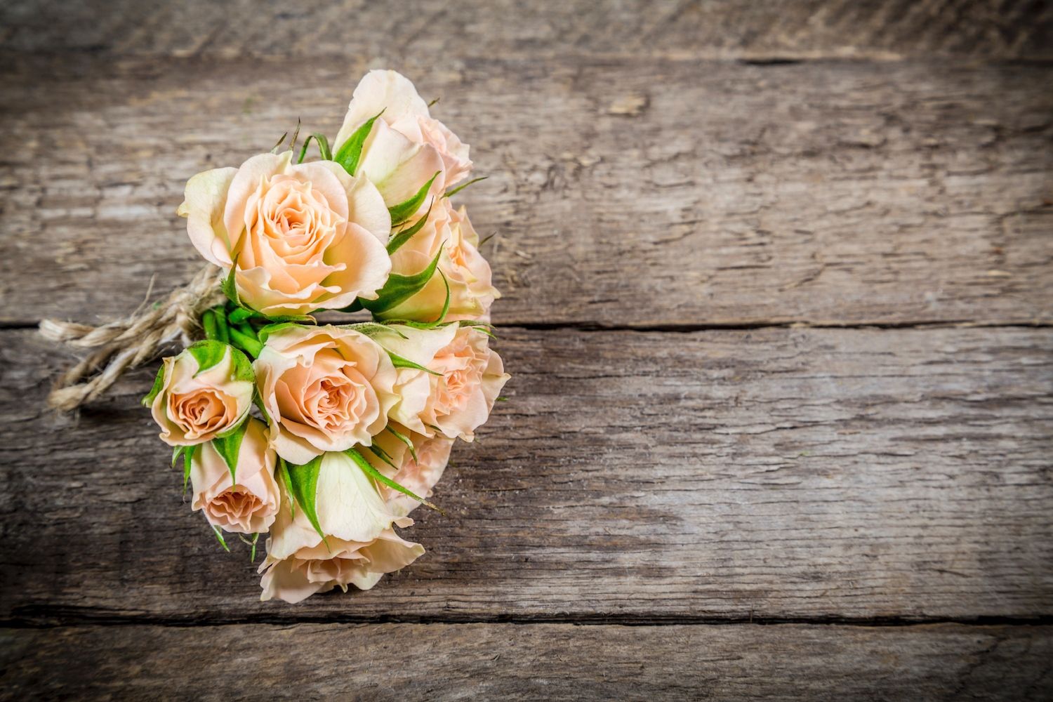 Bouquet rose rosa su legno, 1500x1000 HD, Desktop