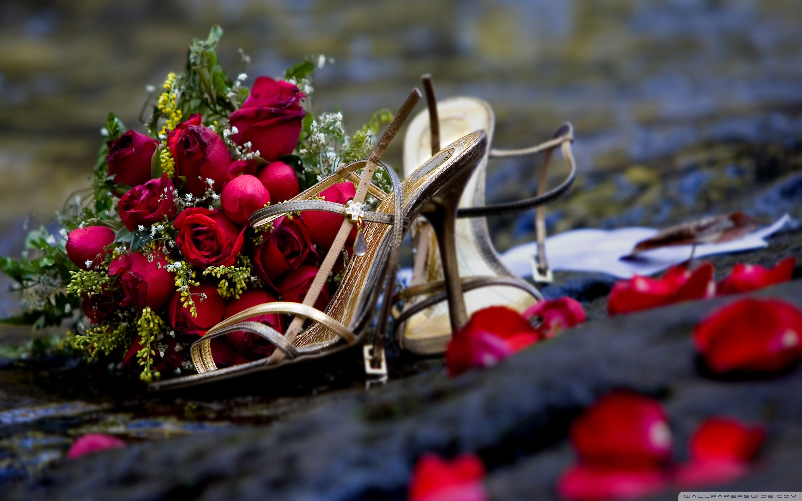 Bouquet rose rosse e scarpe, 2560x1600 2K, Desktop