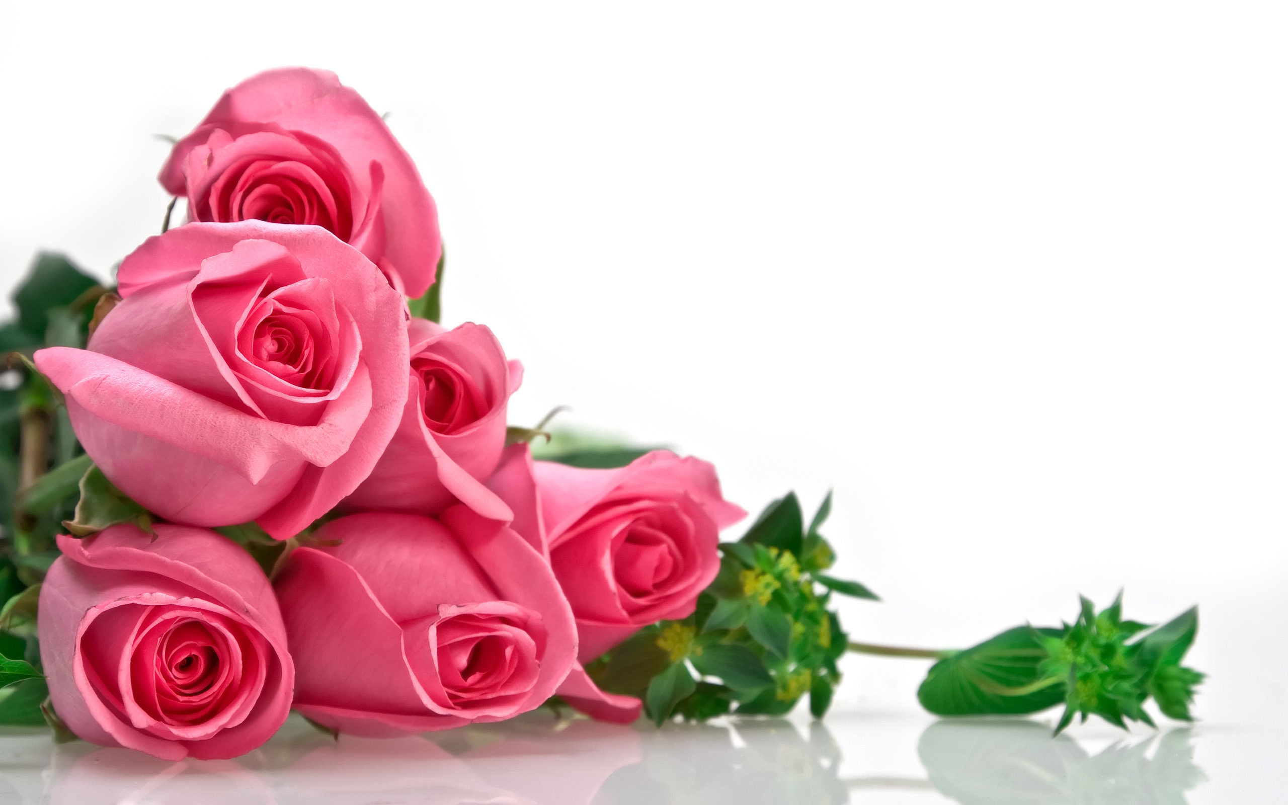 Bouquet di rose rosa, 2560x1600 WQXGA, MacBook Pro