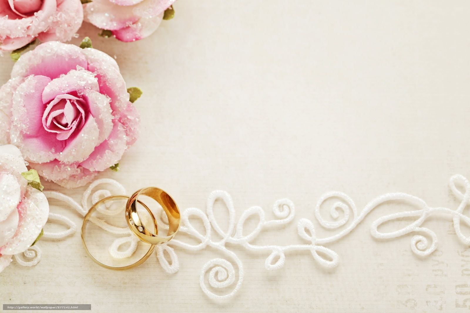 Fedi nuziali con rose rosa, 1600x1067 900p, PC