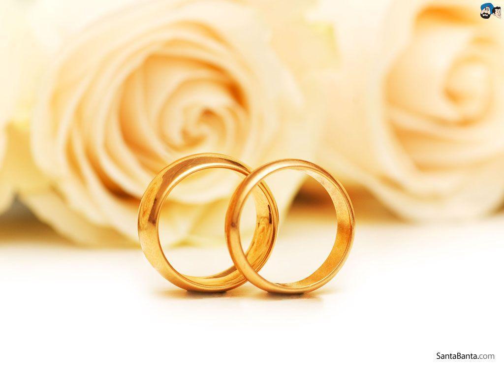 Fedi nuziali dorate con rose, 1024x768 HD, Laptop
