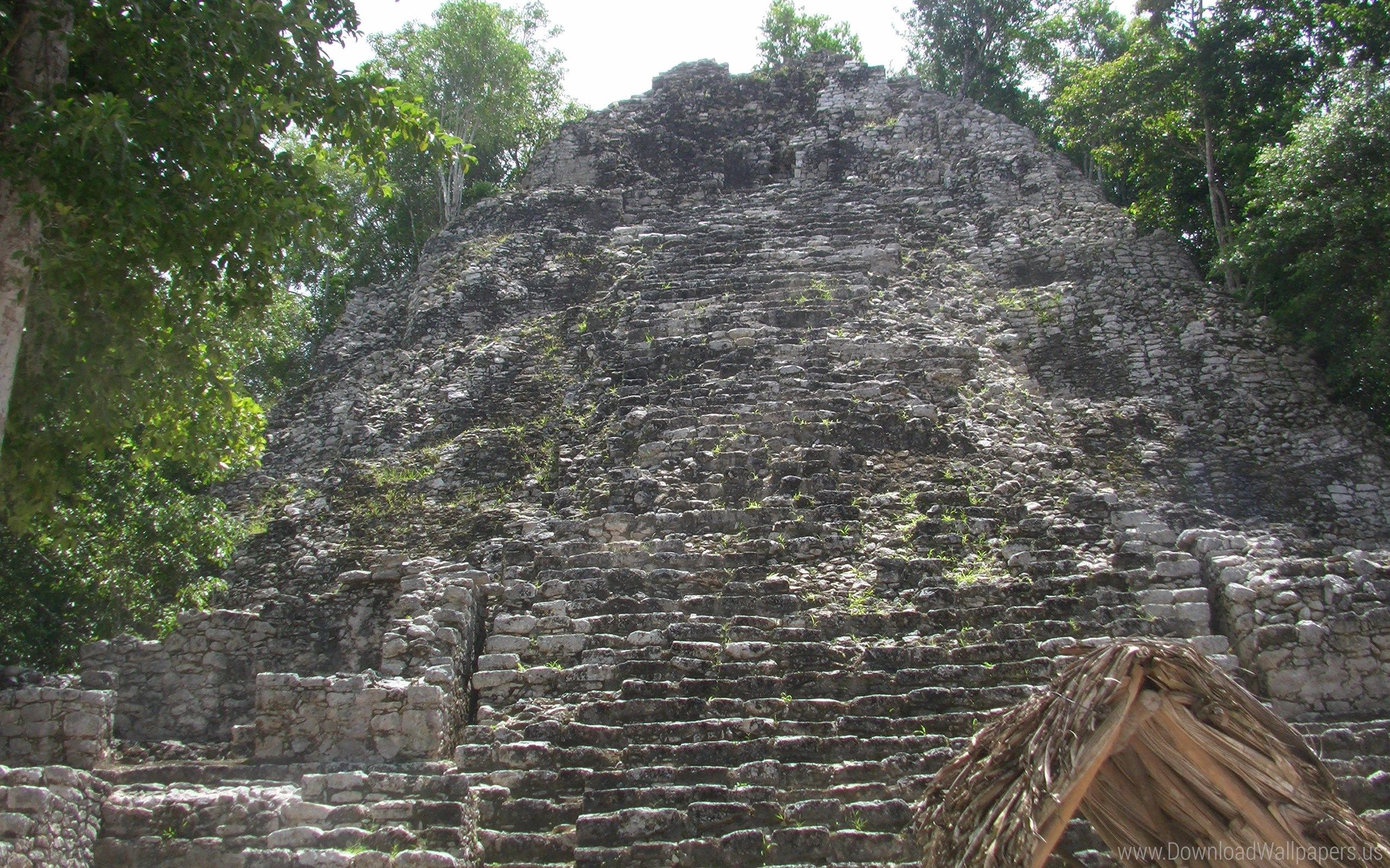 Arte maya colorata intricata, 2840x1834 WQXGA, Desktop