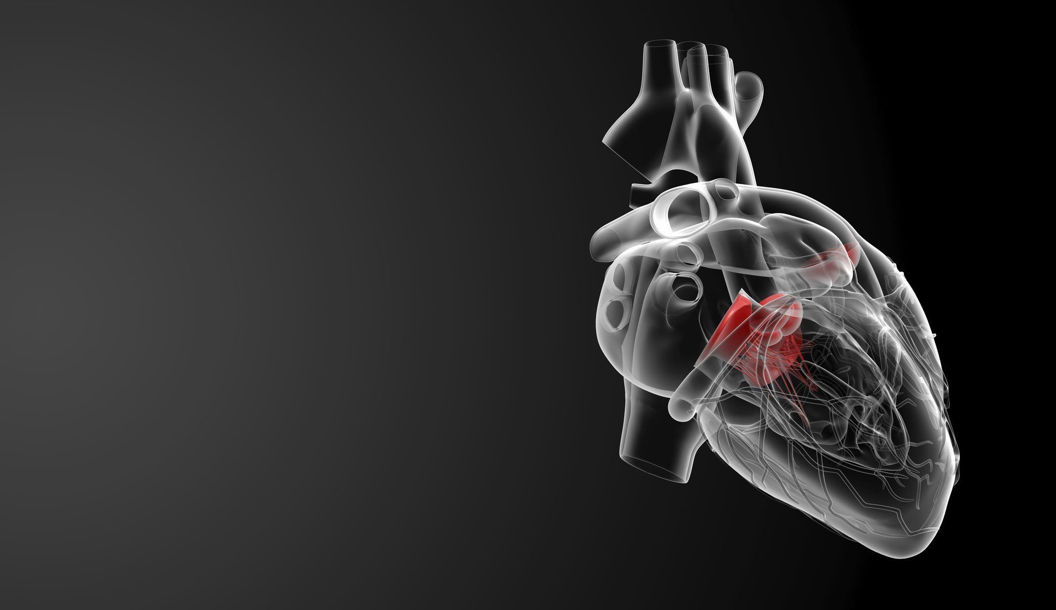 Cuore umano trasparente 3D, 2076x1200 Hi-Res, iMac