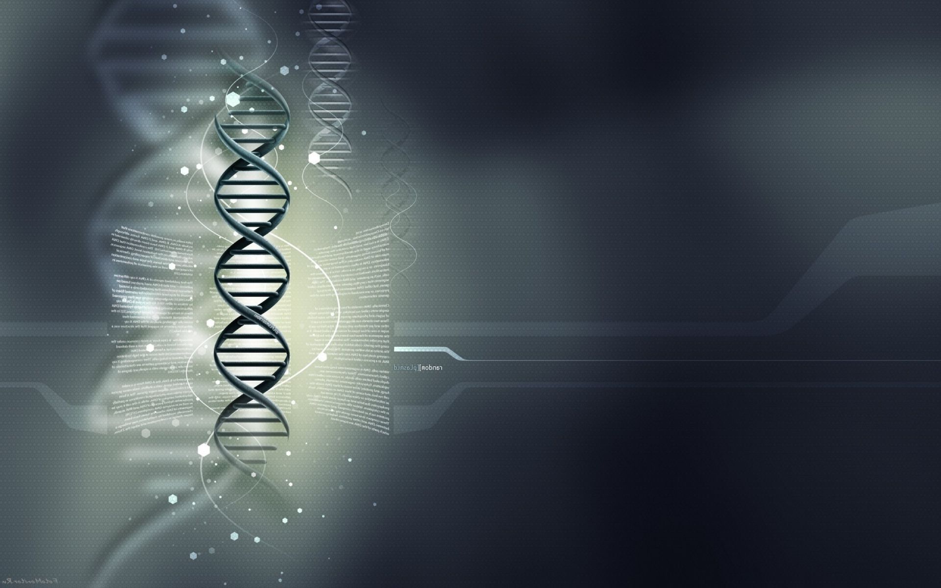 Elica DNA astratta grigia, 1920x1200 Full HD+ WUXGA, PC