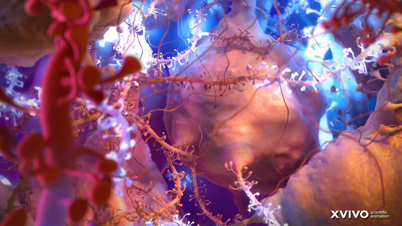 Cellule mediche astratte colorate, 1366x768 720p, iMac