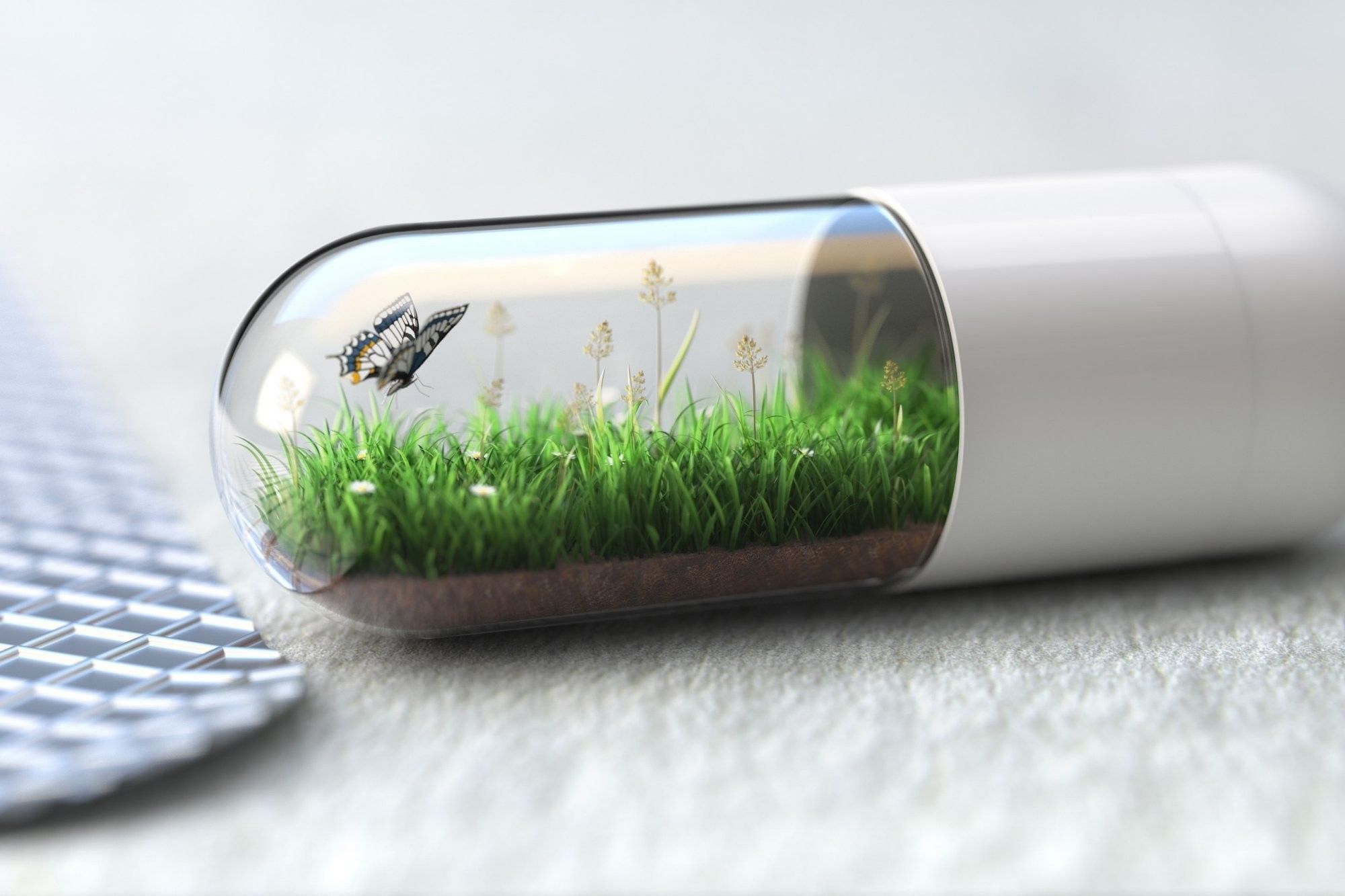 Capsula con erba e farfalla, 2000x1333 2K, Desktop