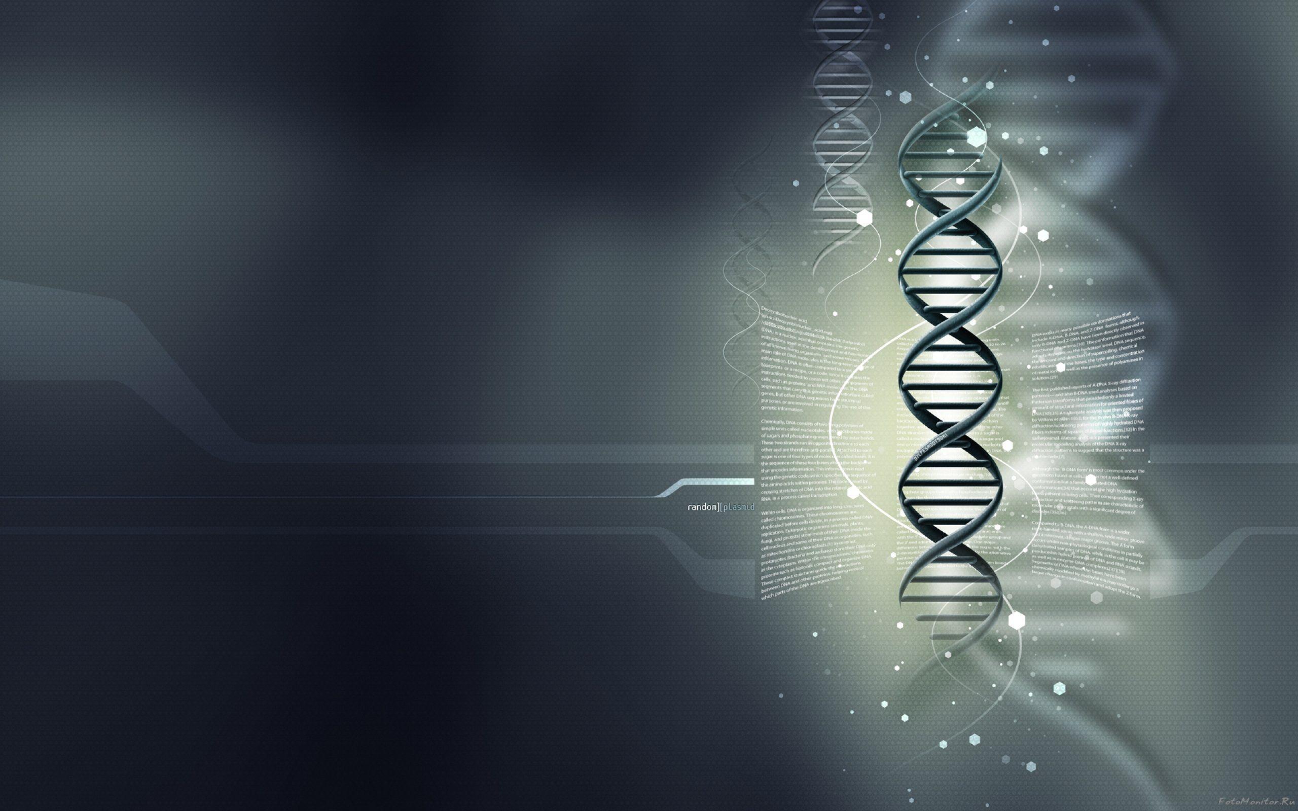 Elica DNA astratta grigia, 2560x1600 2K+, Desktop