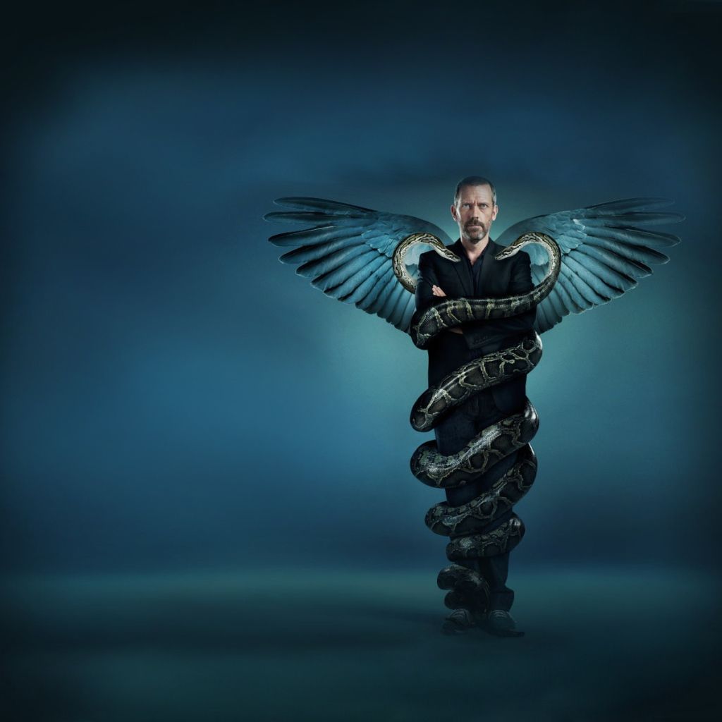 Dr House caduceo alato, 1024x1024 HD, PC Desktop
