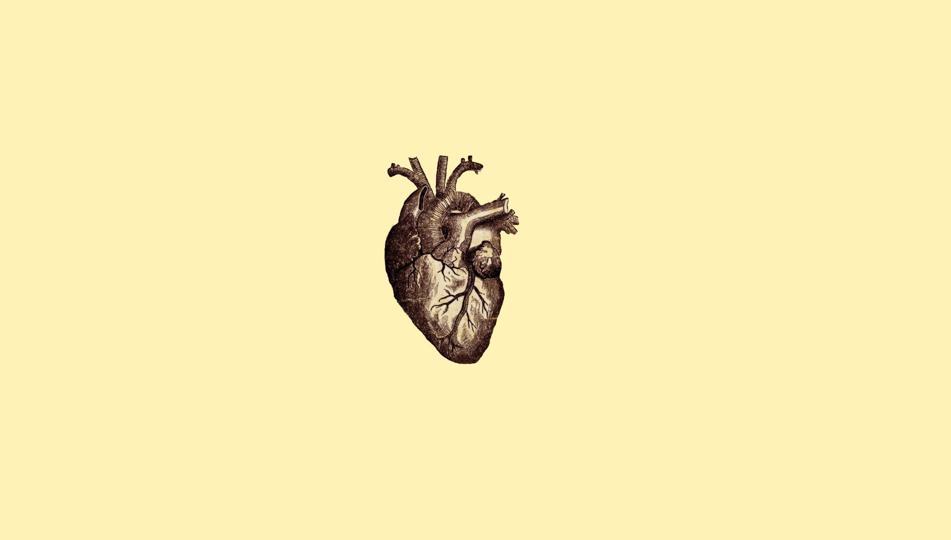 Illustrazione cuore anatomico vintage, 1900x1080 HD, PC