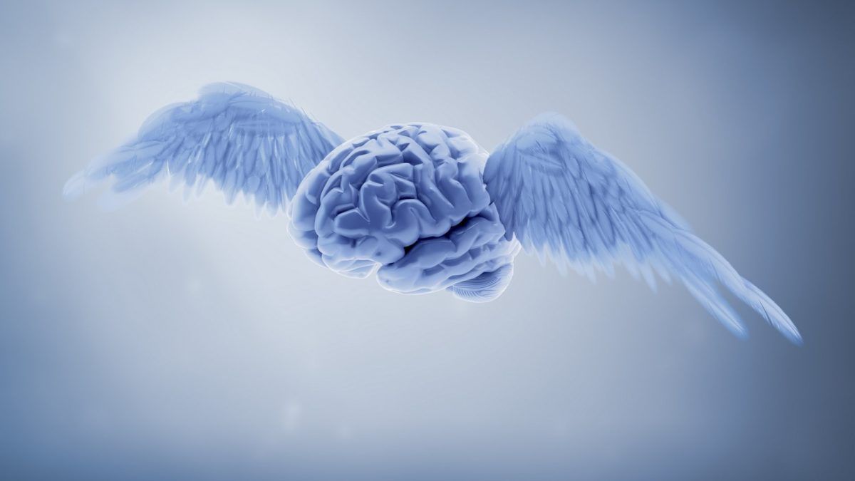 Infografica ruota colori emozioni, 1920x1080 Full HD, Desktop