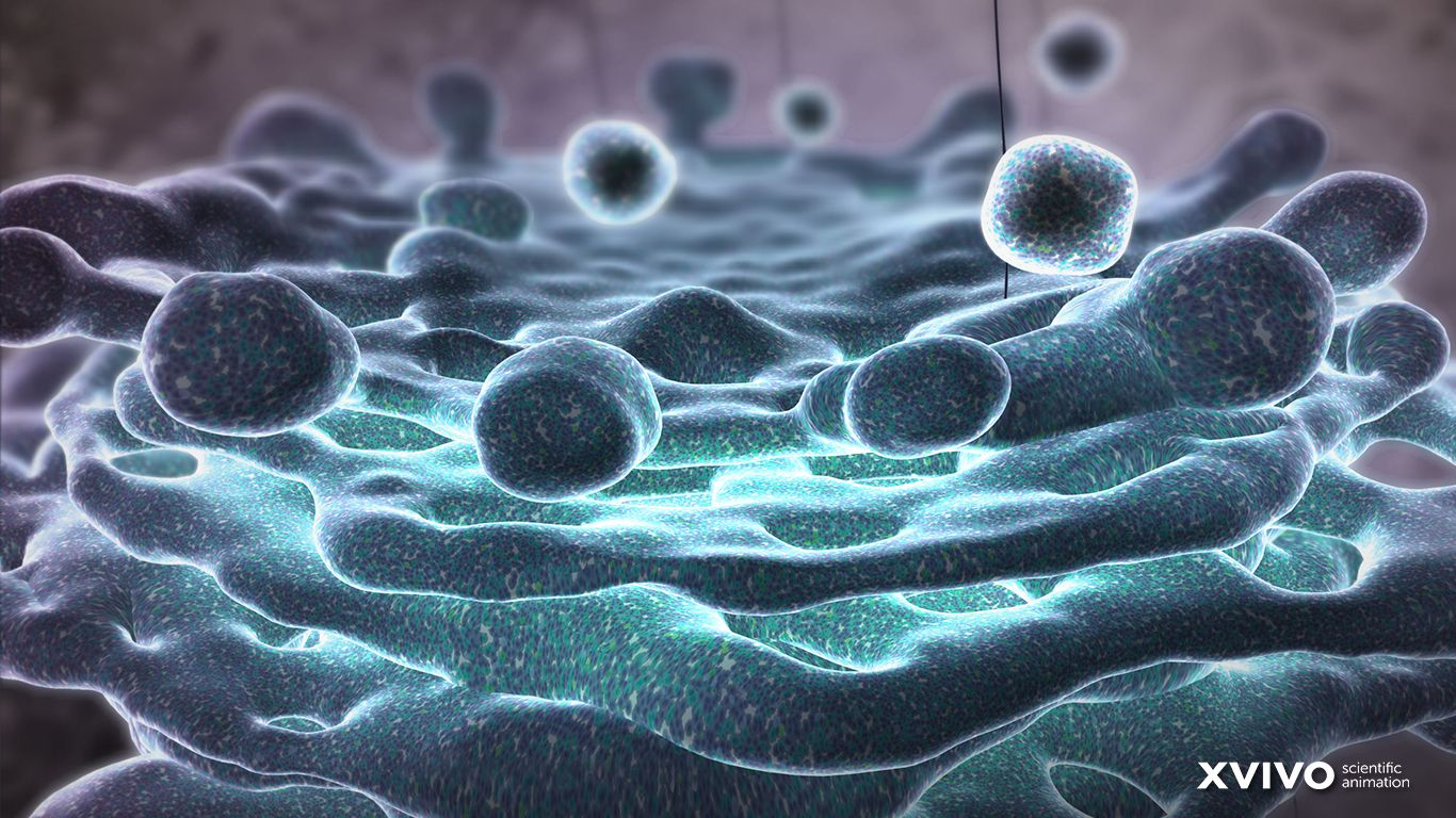 cellula 3D blu virus, 1366x768 HD, PC Desktop