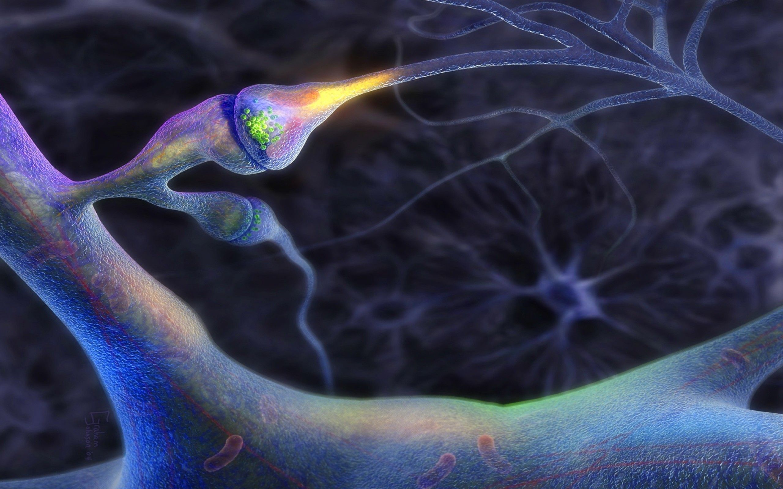 Neuroni cervello illustrazione digitale, 2560x1600 2K, Laptop