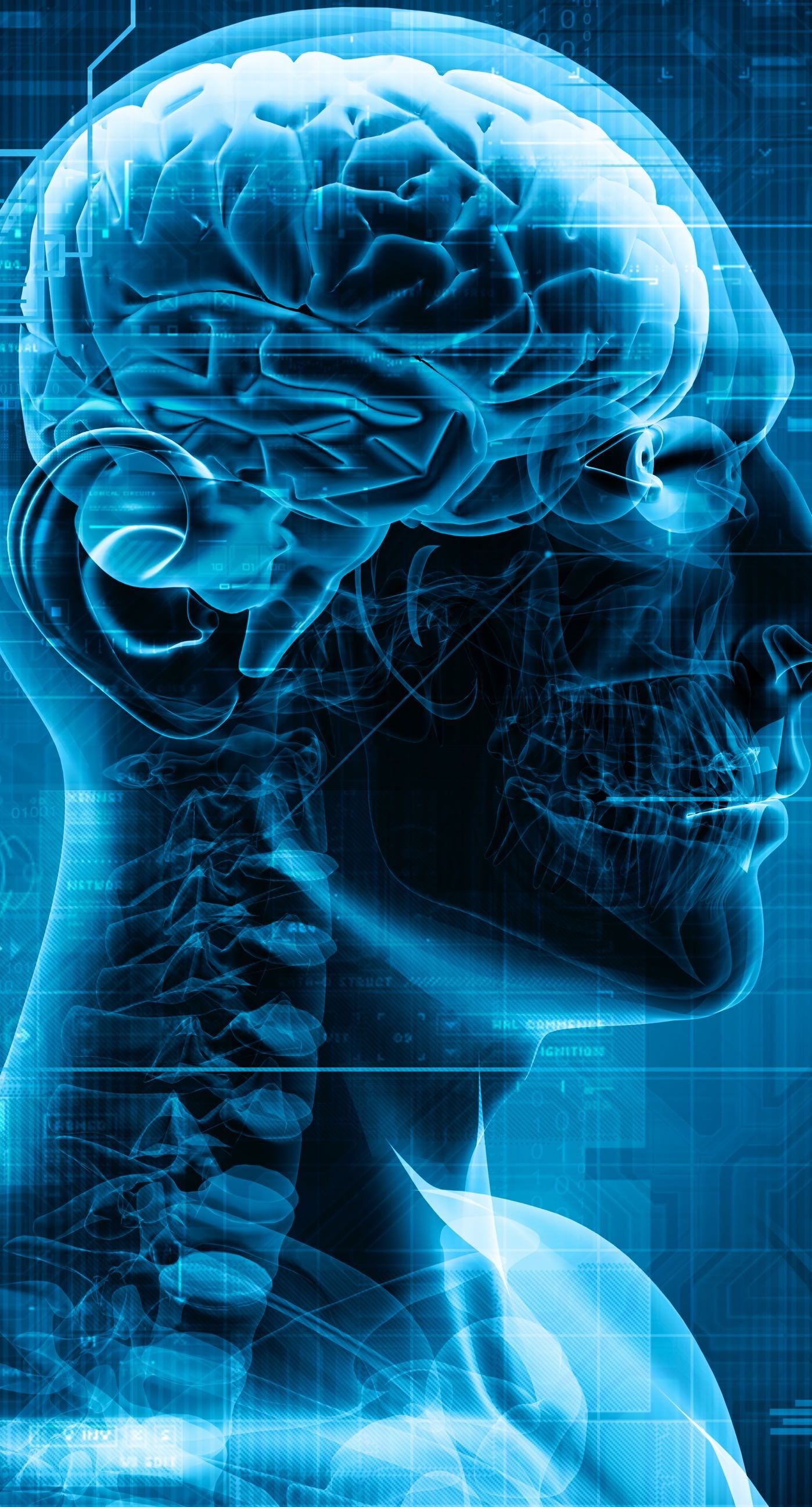 Radiografia digitale testa umana, 1398x2592 Verticale, Mobile