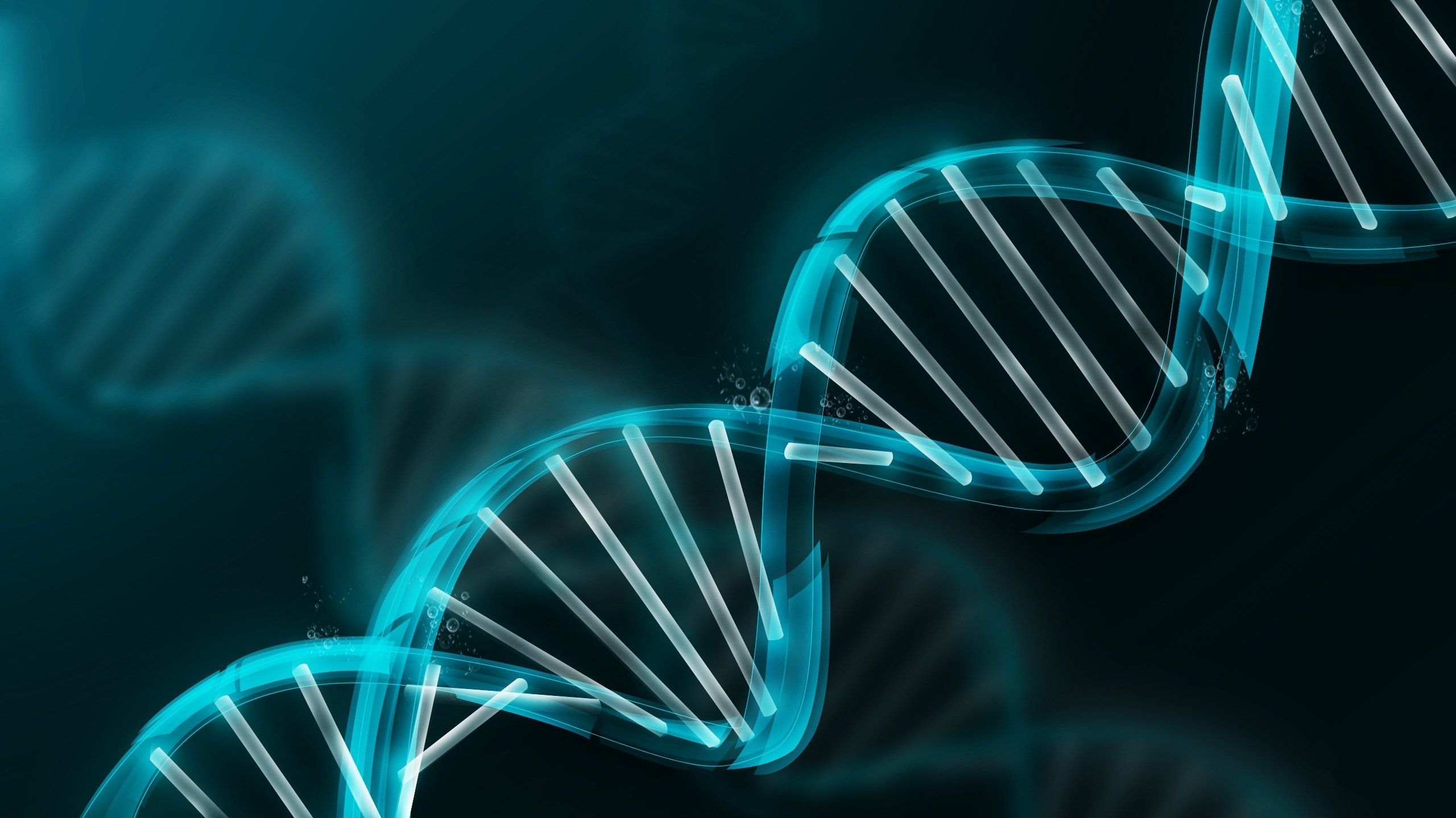 Elica DNA blu luminosa, 2560x1440 1440p, Desktop