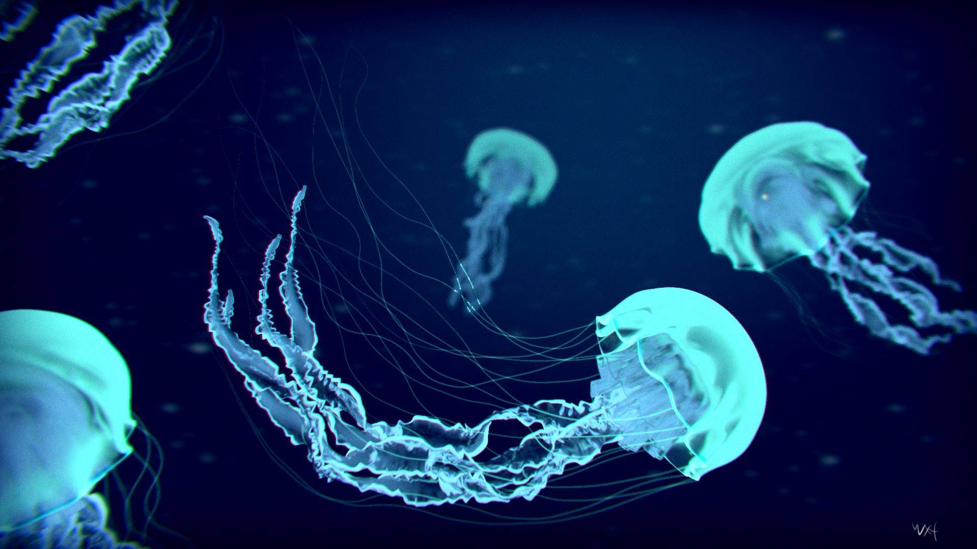 Meduse blu bioluminescenti oceano, 1920x1080 Full HD 1080p, PC