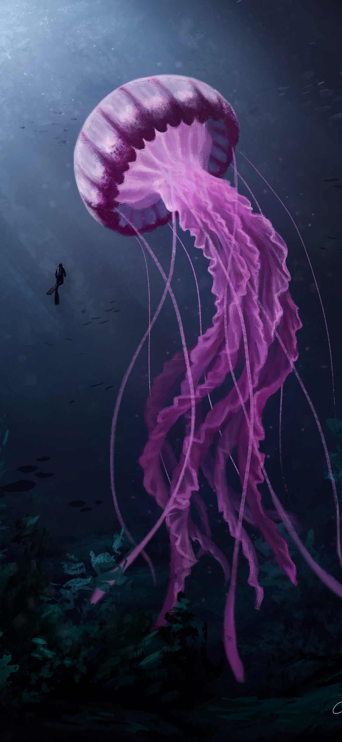 Medusa rosa nell'oceano scuro, 1125x2436 Verticale, Telefono