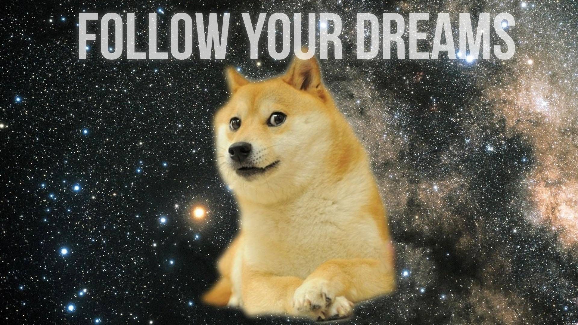 Doge cane testo wow, 1472x837 HD, Desktop