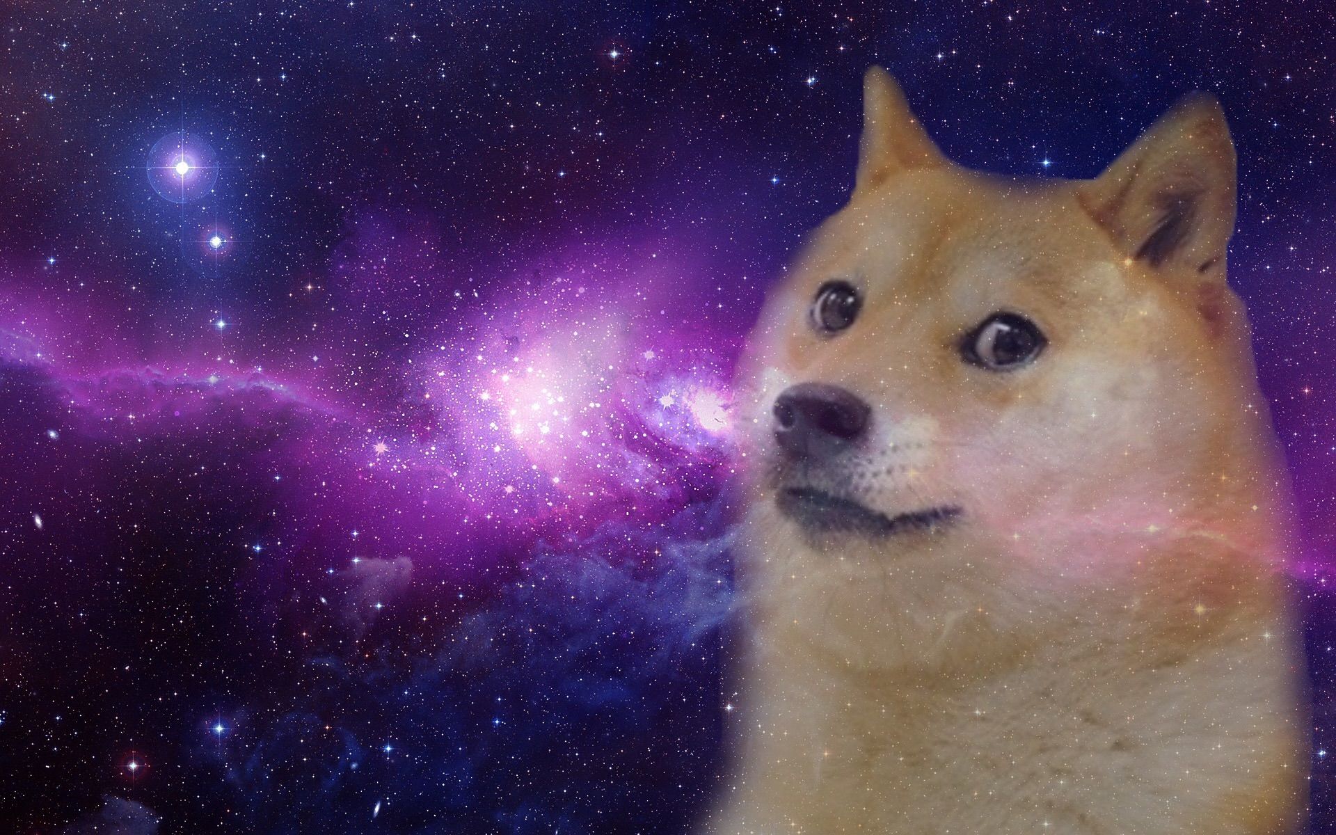 Doge Shiba Inu nello spazio, 1920x1200 Full HD+, Desktop