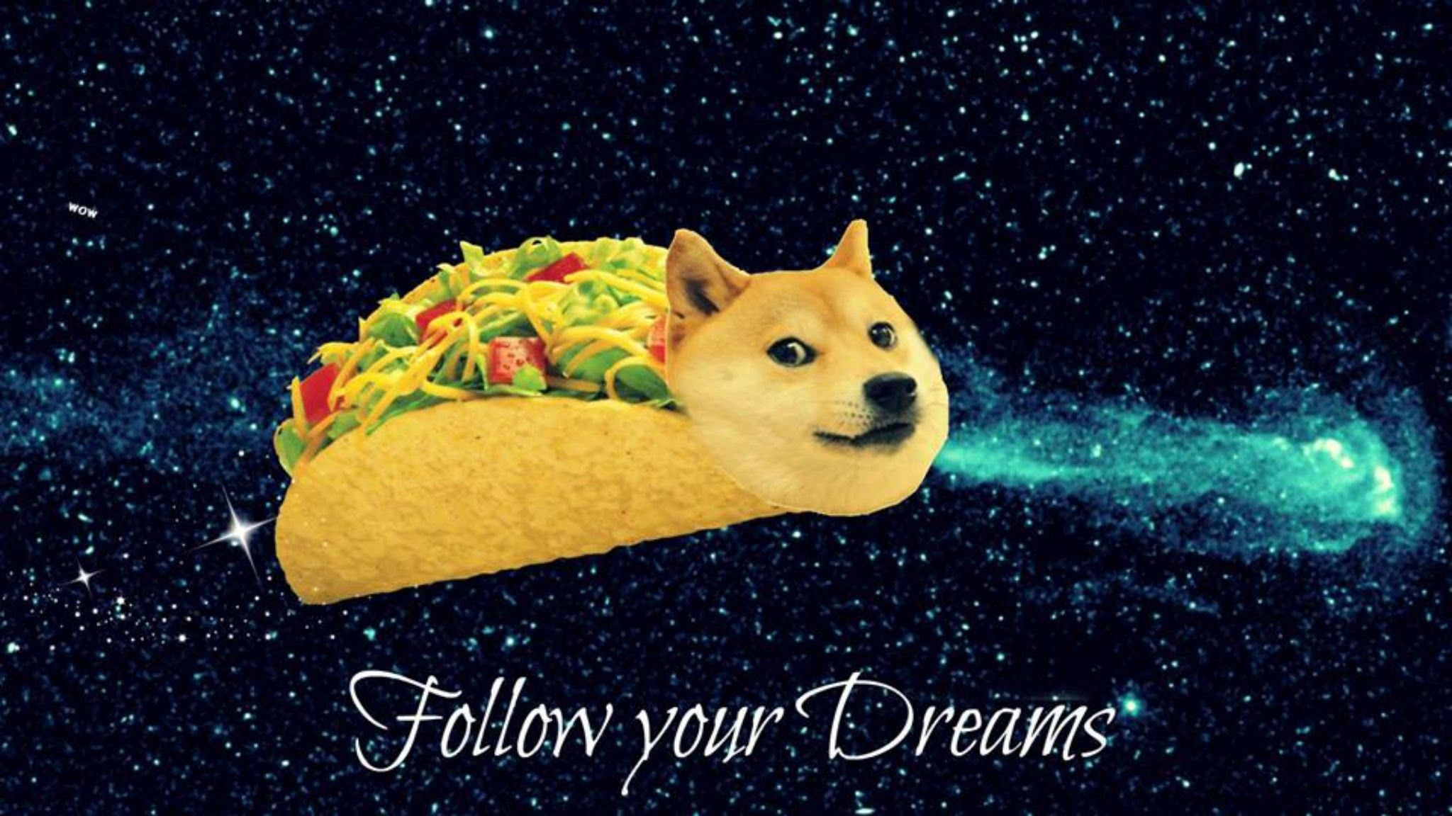 Doge shiba inu retrowave, 2560x1440 QHD, Laptop