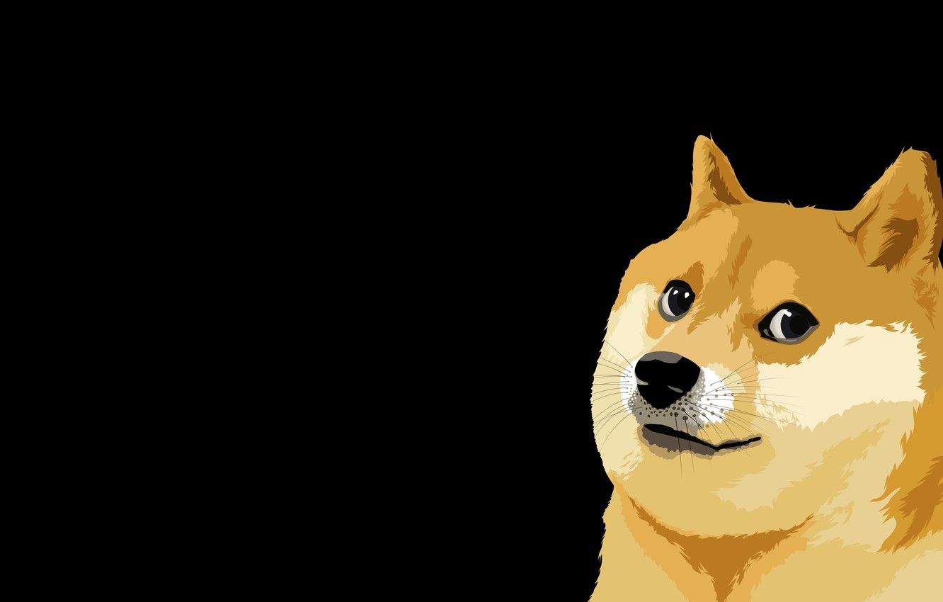 Cane Shiba Inu Doge minimal, 1920x1200 WUXGA, Desktop