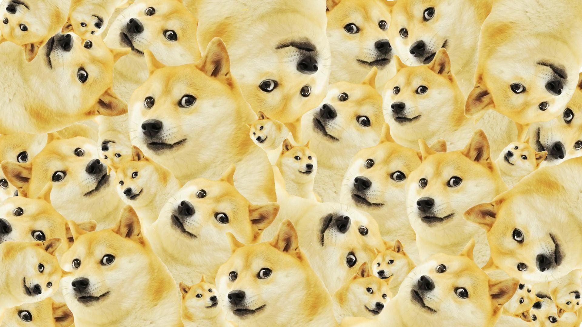Doge cane sfondo nero, 1332x850 720p, Laptop