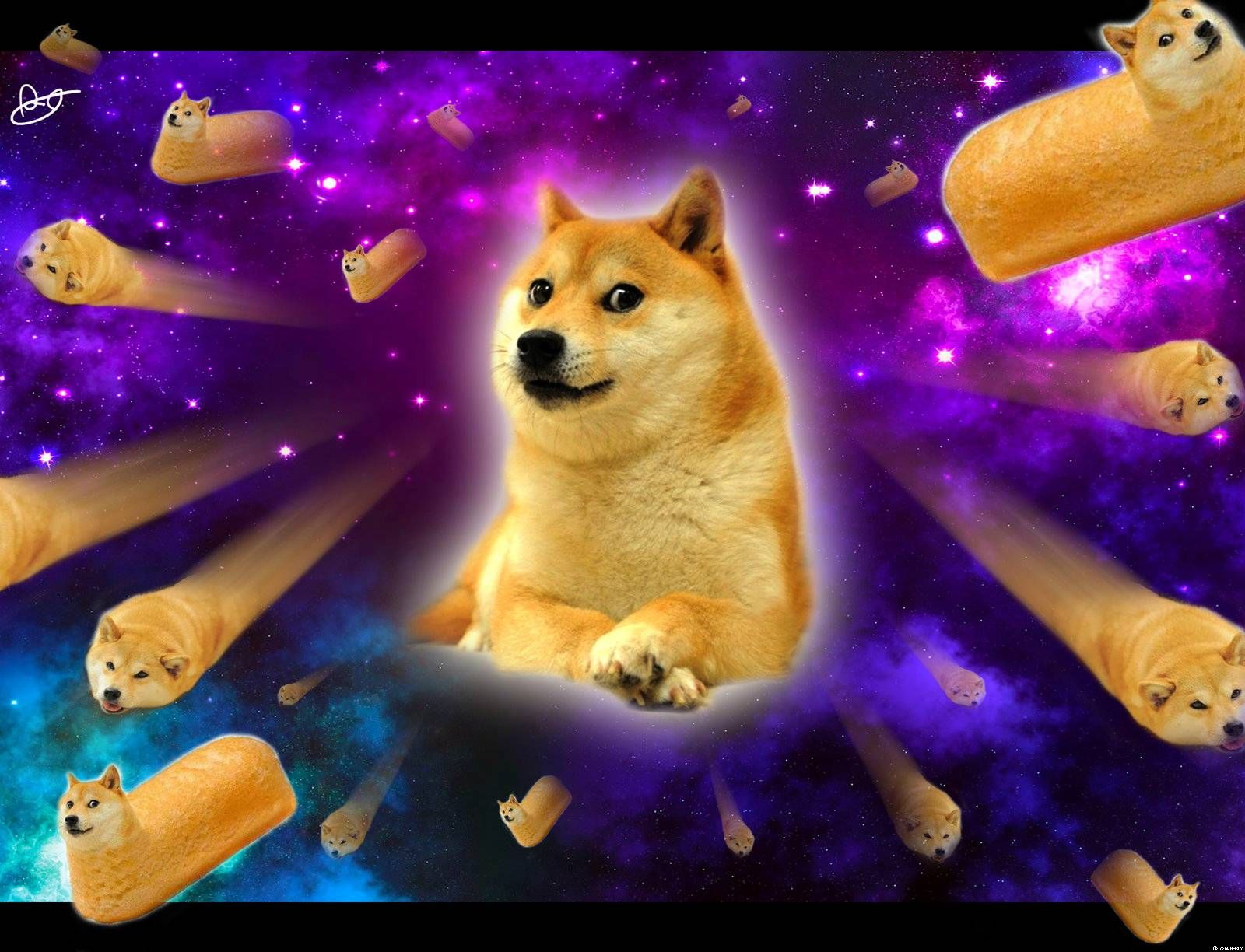 Doge nello spazio galassia, 1920x1080 Full HD 1080p, Desktop