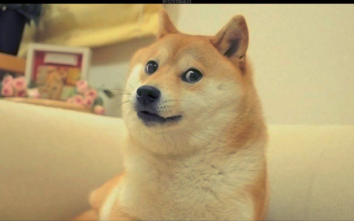 Pattern facce cane Shiba Doge, 1243x691 HD, iMac