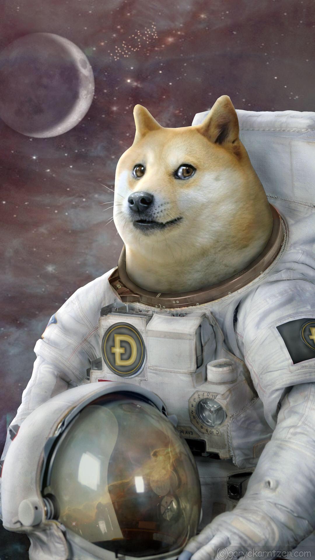 Doge astronauta nello spazio, 1080x1920 Full HD Verticale, iPhone