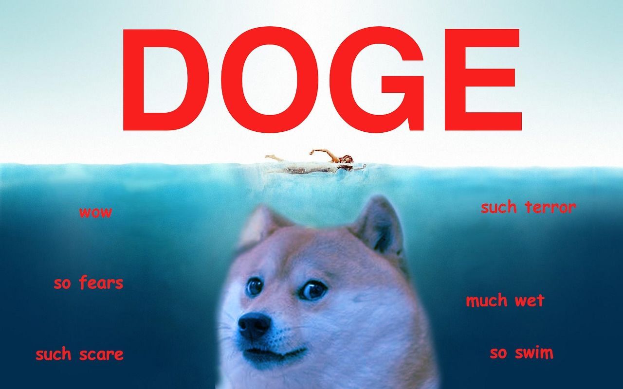 Doge Shiba nello spazio, 1600x1224 900p, Desktop