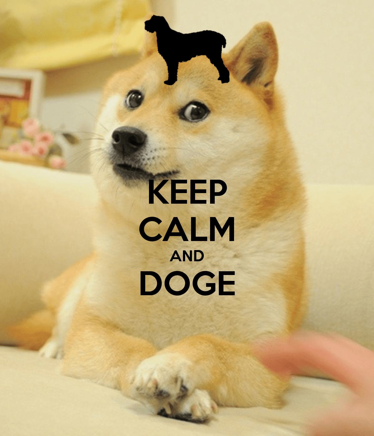 Doge shiba montagne lago, 2400x1500 alta risoluzione, Laptop