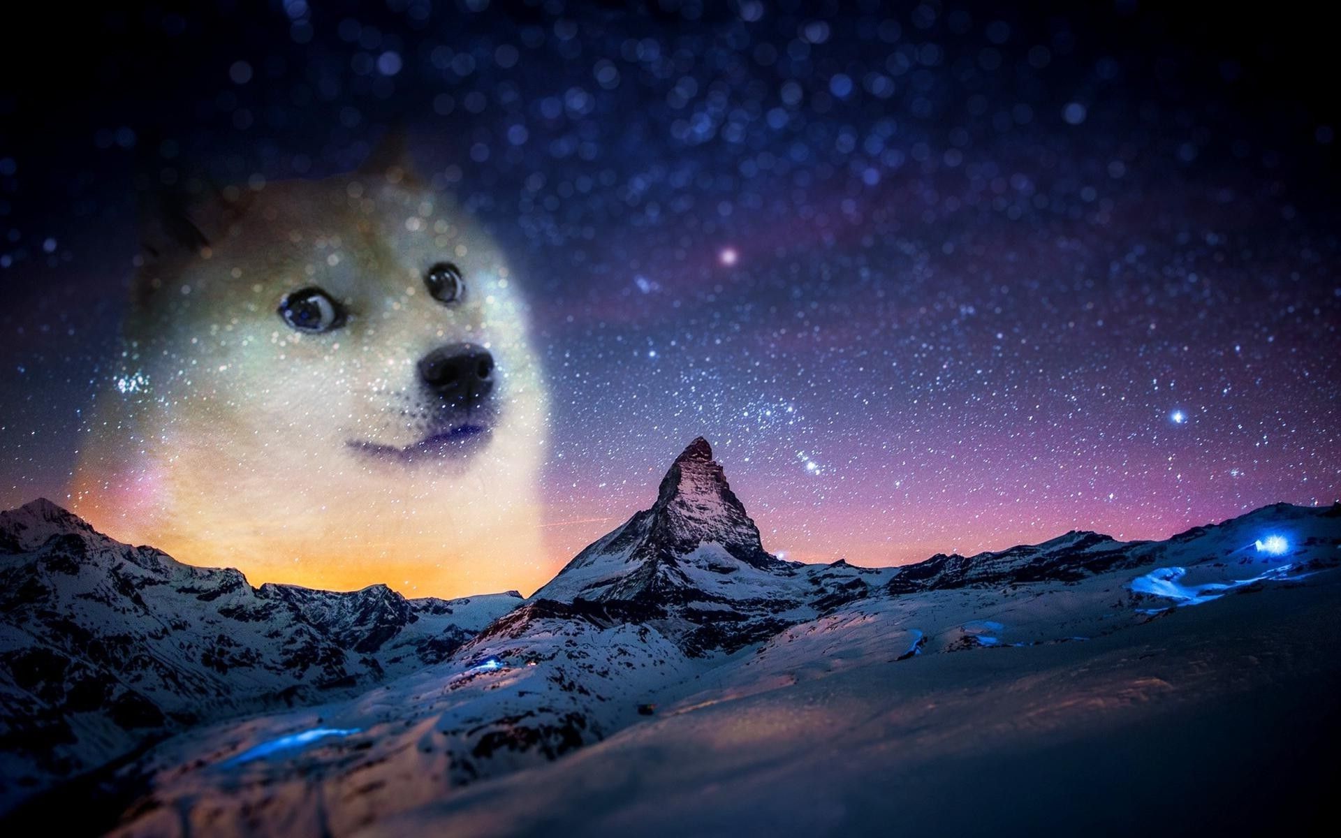 Cane Shiba Inu Doge, 1131x707 HD, Desktop