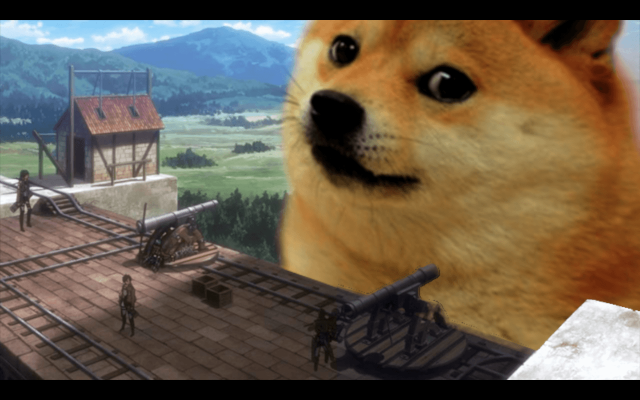 Meme Doge shiba inu oceano, 1280x800 HD, Desktop