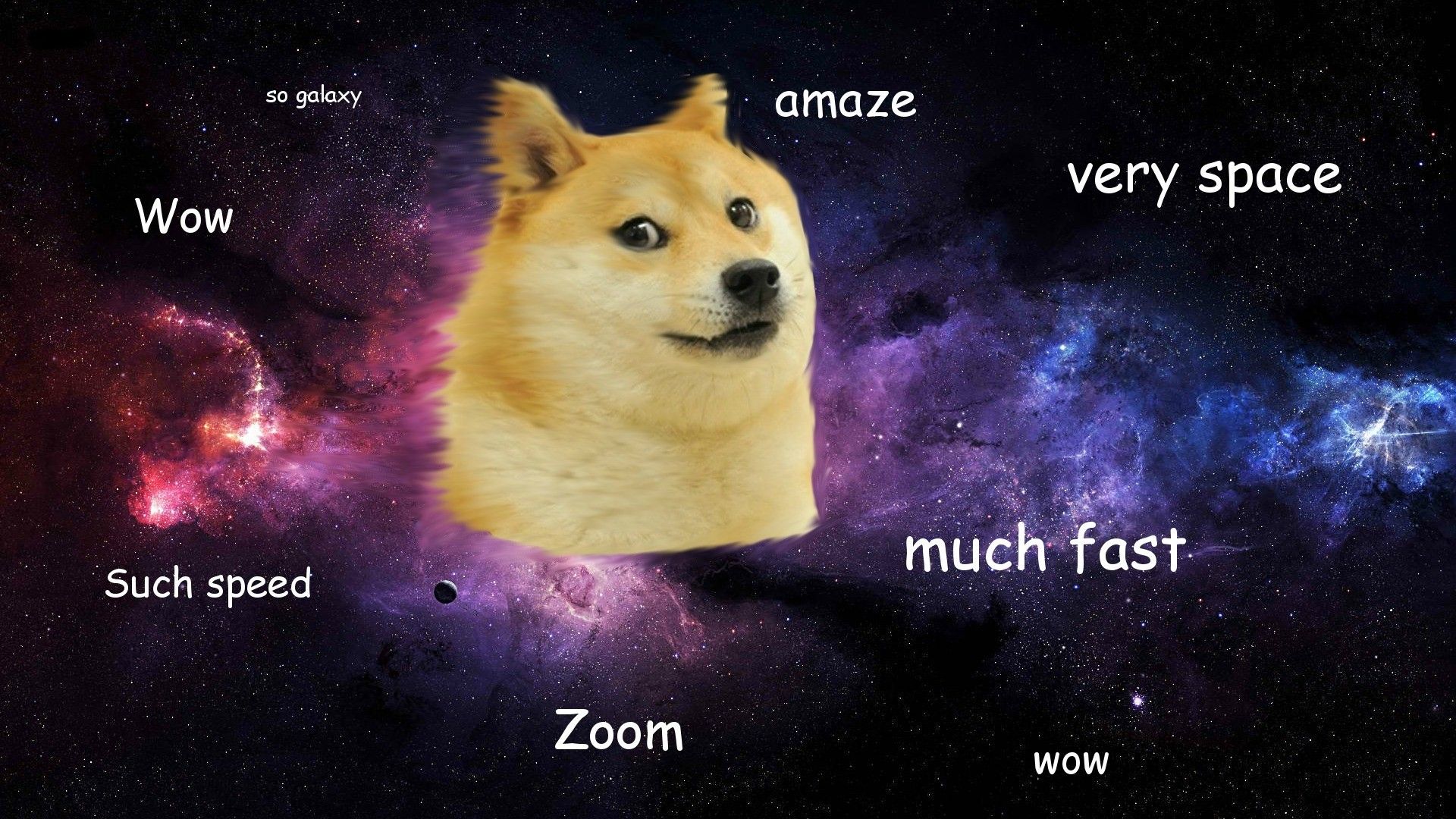 Doge cielo stellato albero, 1920x1080 Full HD, Laptop