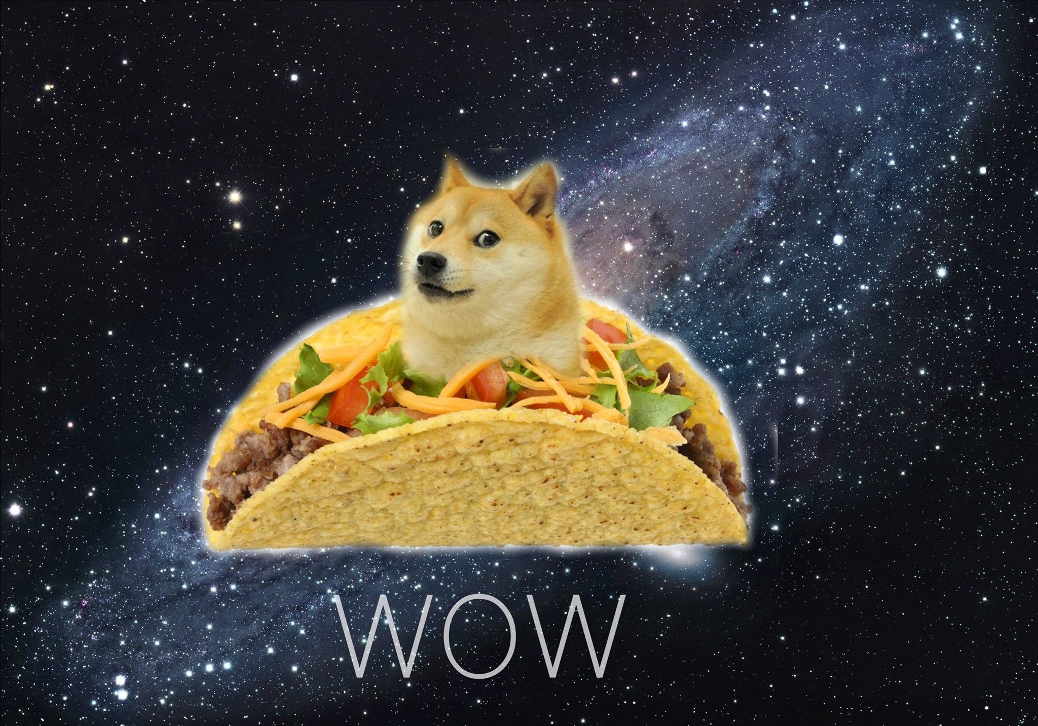 Shiba Inu meme Doge militare, 1920x1080 1080p, Desktop