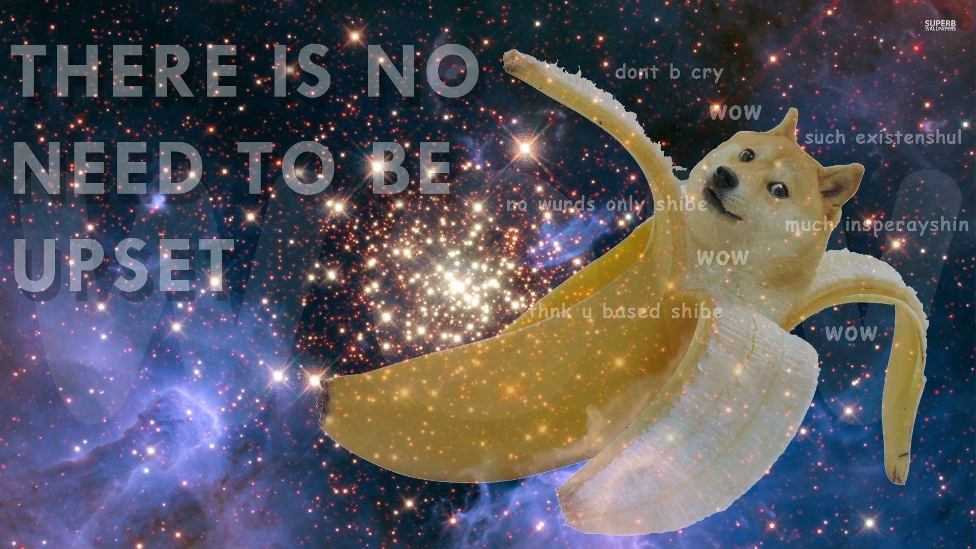 Doge Windoge 7 parodia, 1920x1200 Full HD+ WUXGA, PC