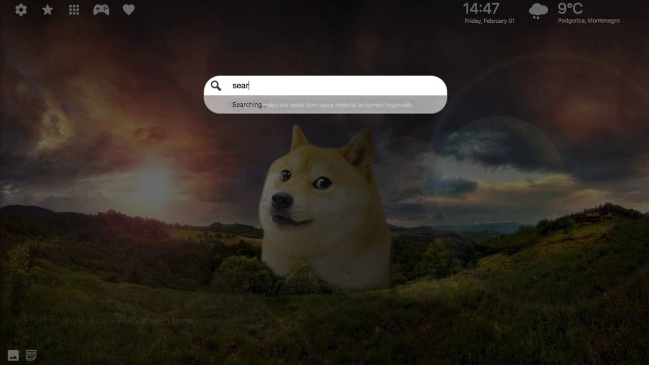 Doge shiba su taco spaziale, 2048x1432 2K, Desktop