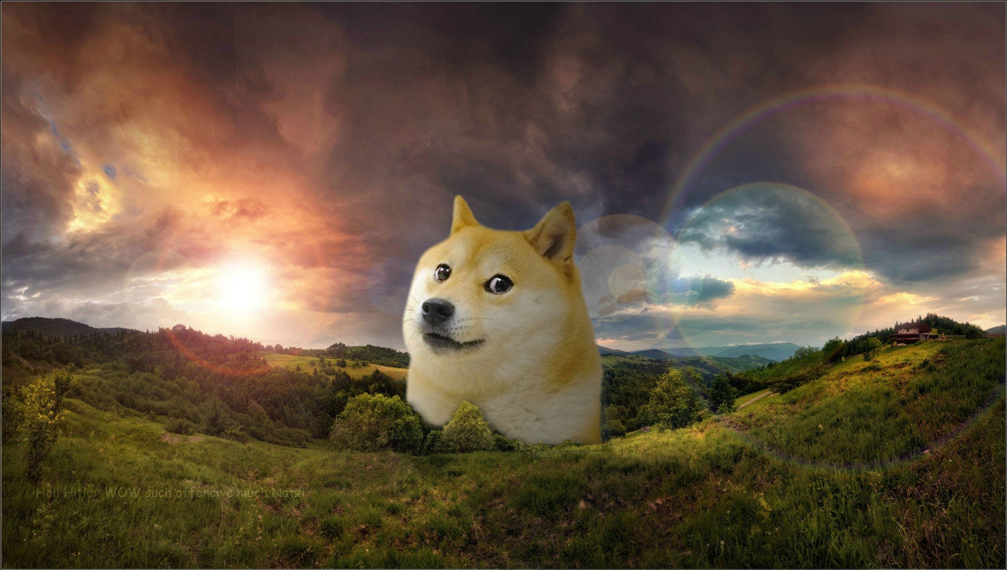 Doge nello spazio, meme, 1920x1080 1080p, PC Desktop