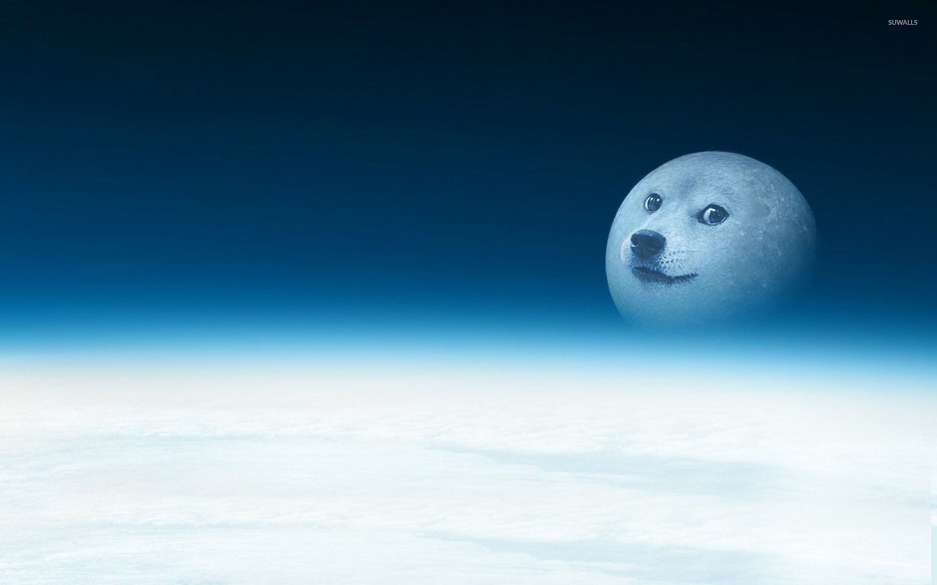 Doge minimalista testa cane, 1920x1080 Full HD, PC Desktop