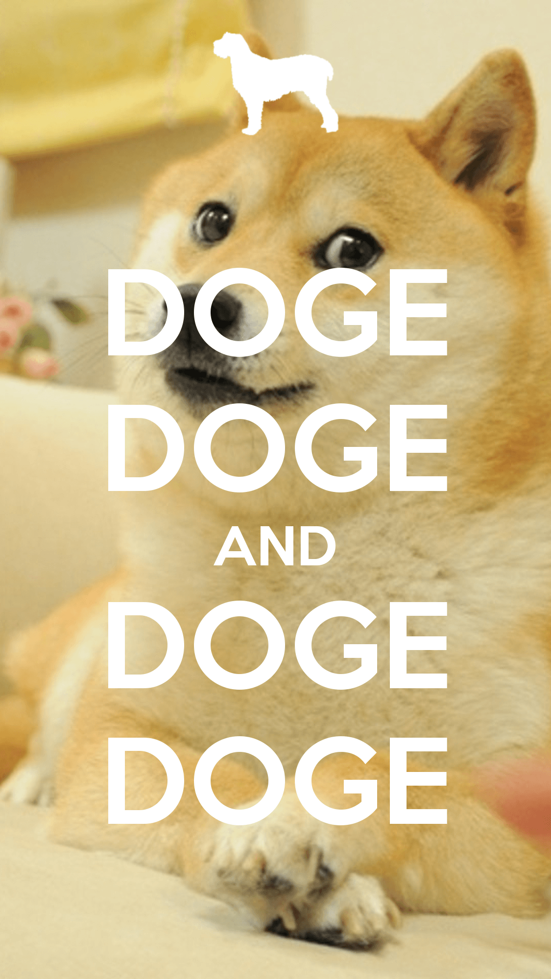 Doge come luna nello spazio, 1920x1200 WUXGA, Laptop