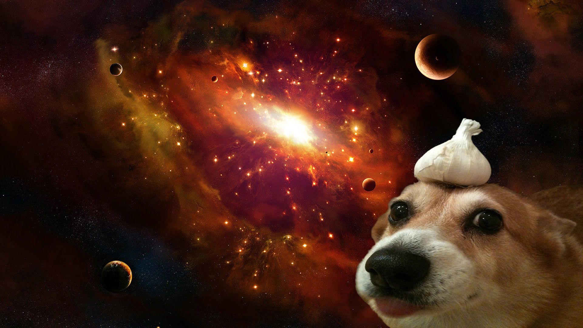 Doge su banana spaziale, 1920x1080 1080p, PC Desktop