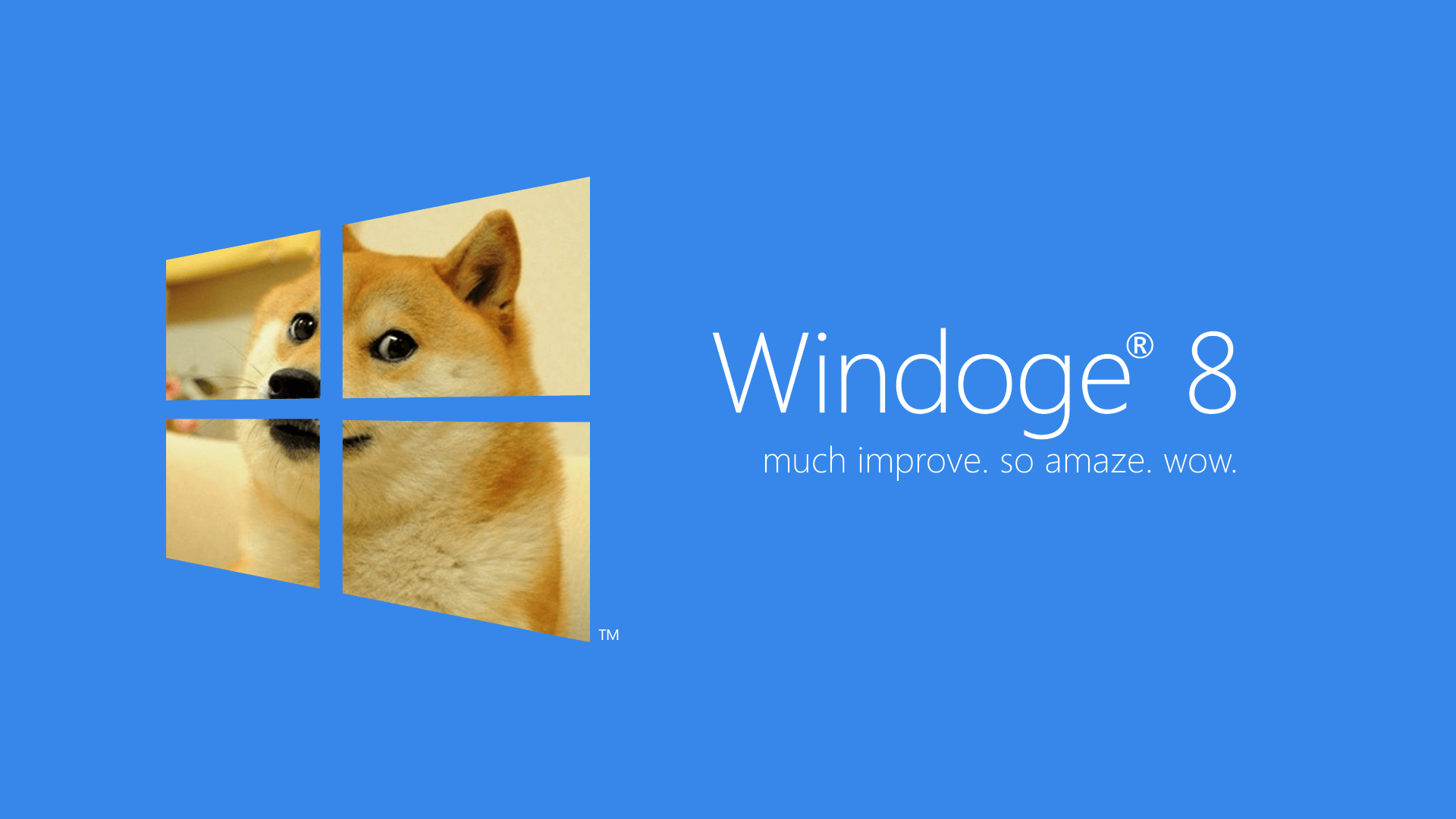 Cane Shiba Inu Doge meme, 1125x2000 Verticale, Telefono