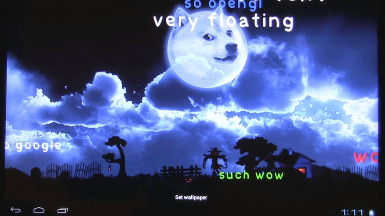 Doge shiba inu meme, 1280x720 HD, Desktop