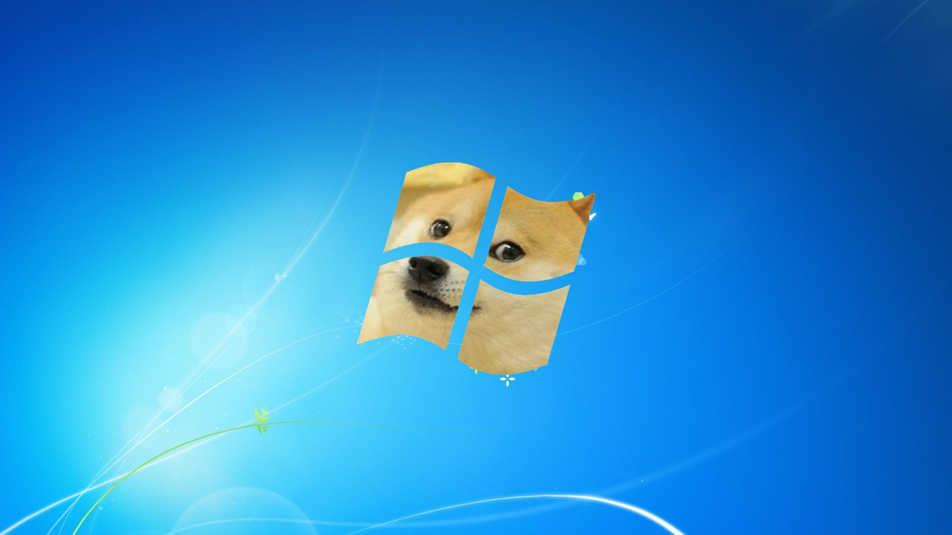 Windoge 8 logo Shiba Inu, 1920x1080 Full HD, PC