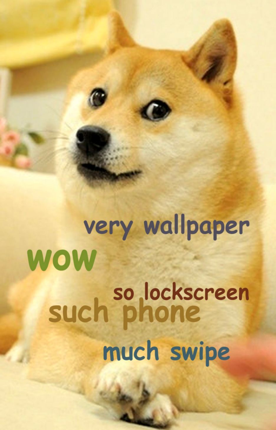 Doge vestito da Batman, Gotham, 1920x1080 Full HD 1080p, Laptop