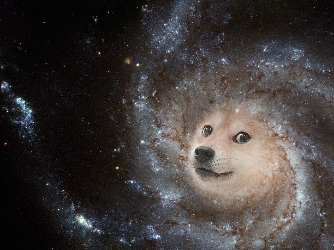 Logo Windows con volto Doge, sistema operativo Microsoft, 1920x1080 1080p, Desktop