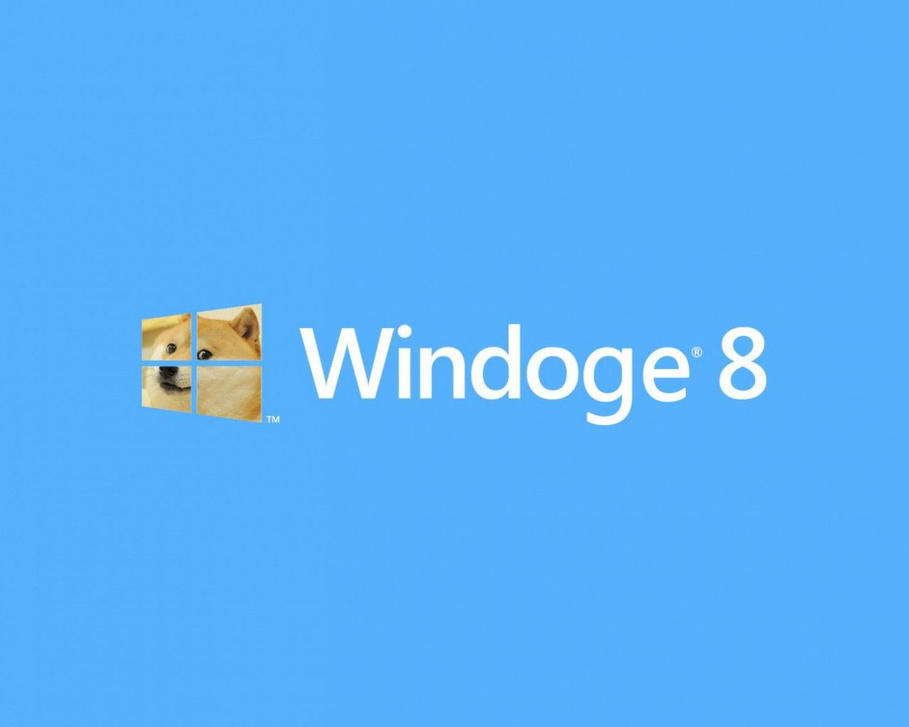 Cane Shiba Inu Doge, 1920x1080 Full HD 1080p, PC Desktop