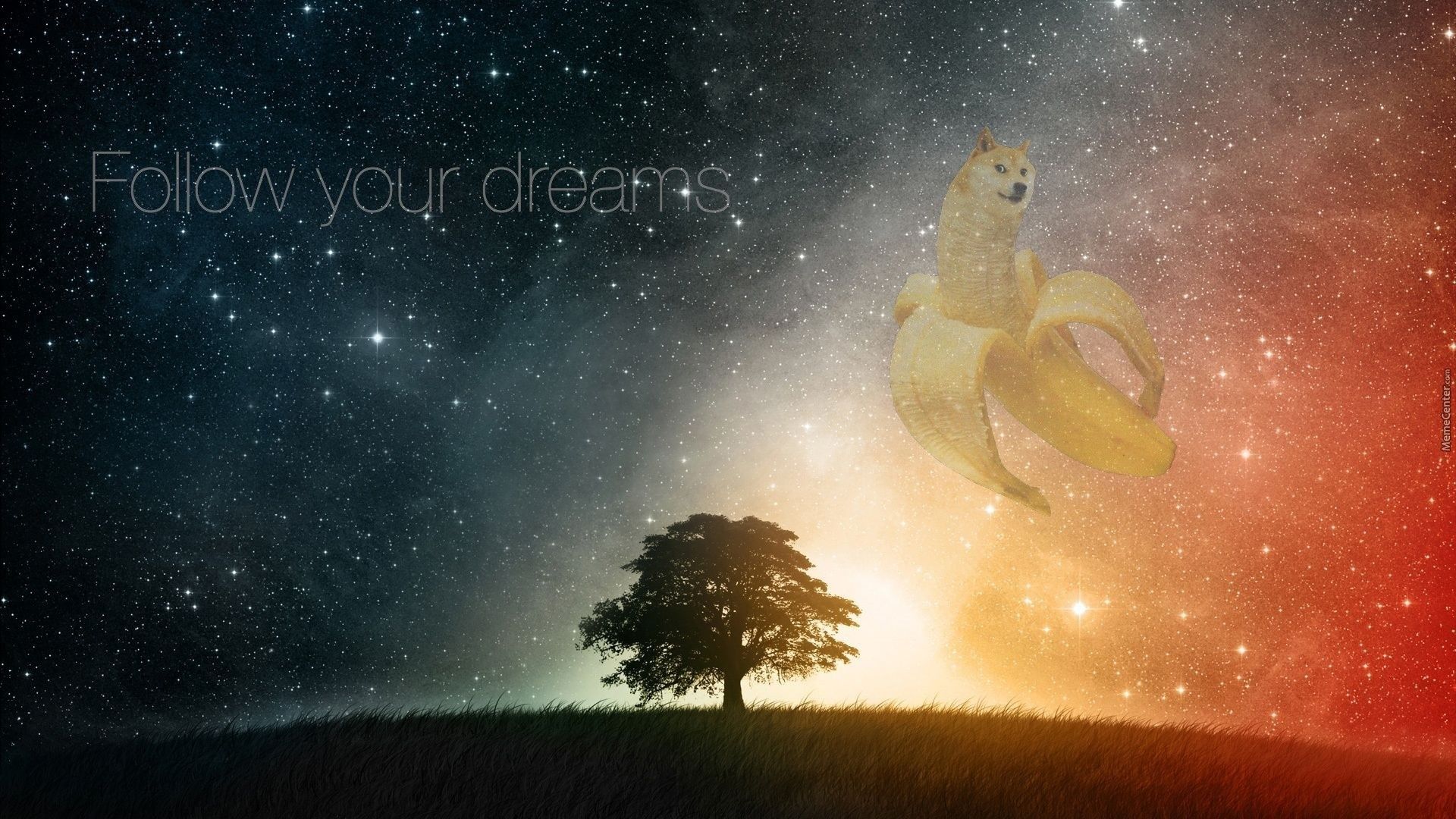 Doge Pink Floyd prisma arcobaleno, 1280x1024 720p, PC