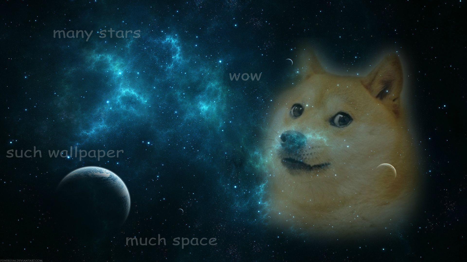 Cane Shiba Inu gigante collina, 3370x1909 WQXGA, Desktop