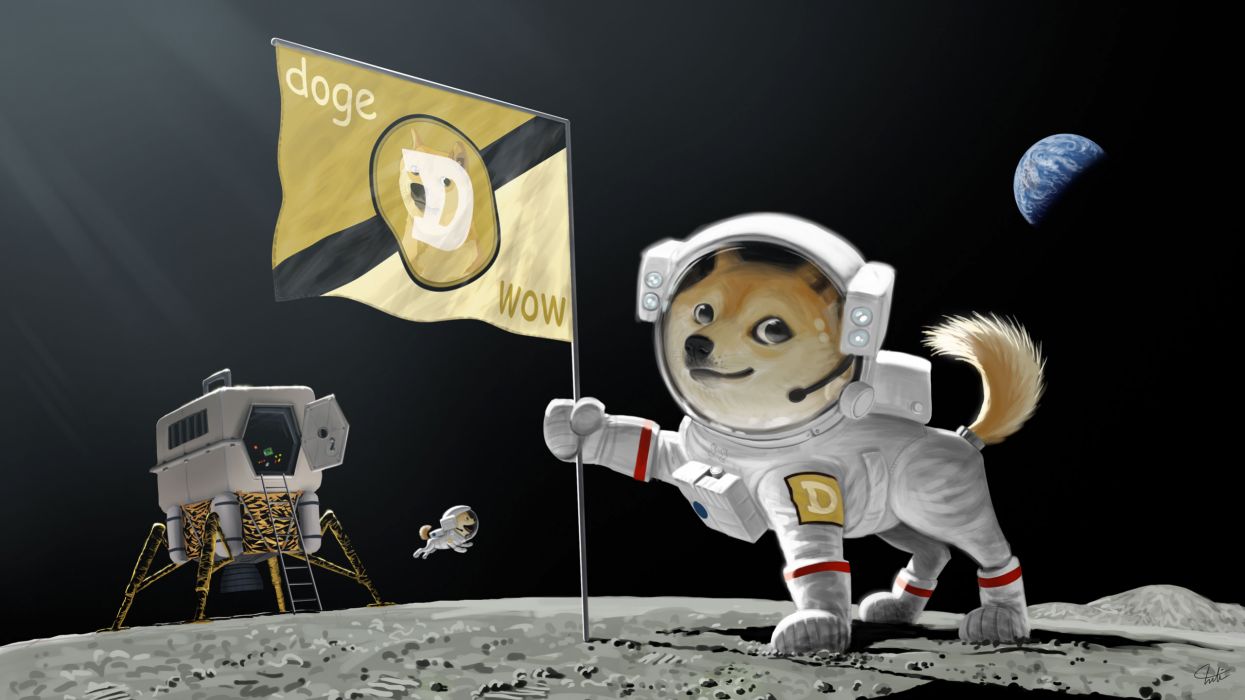 Doge astronauta sulla Luna, 1245x700 HD, Desktop