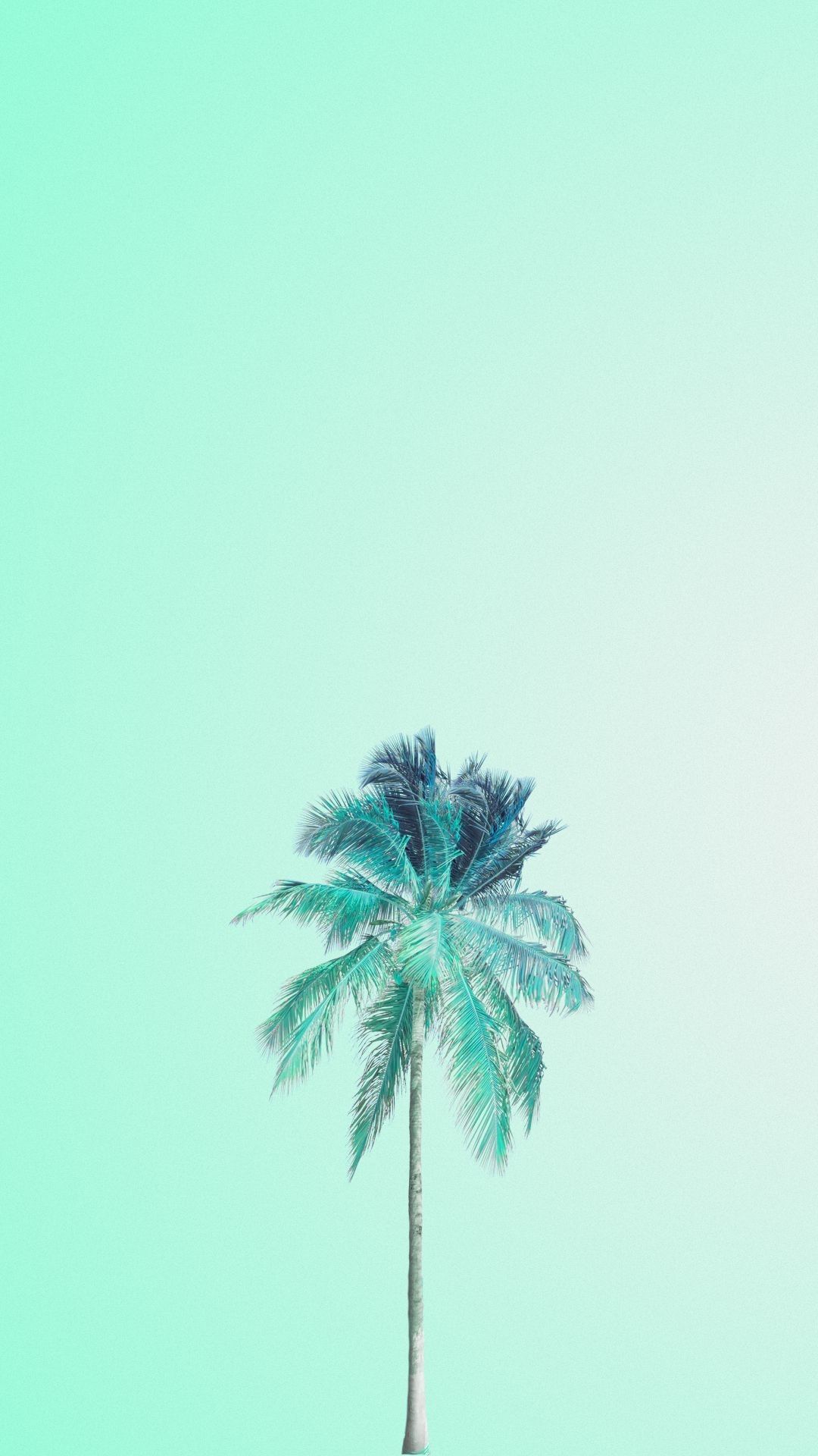 Palma su cielo menta, 1080x1920 Full HD Verticale, Smartphone